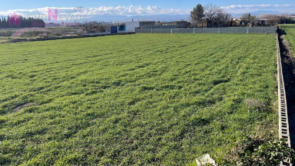 Venta de casas y pisos en Maracena Granada