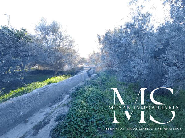 Parcela en venta en Viator zona Paseo de Viator